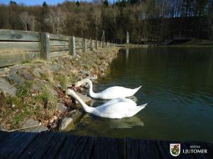 Lepote Prlekije 12